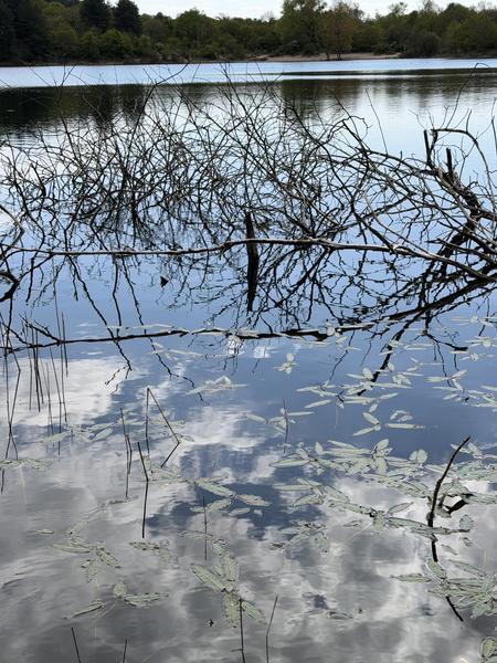 This serene photo, taken at Oosterweg, Overveen, captures a tranquil body of water reflecting the cloudy sky